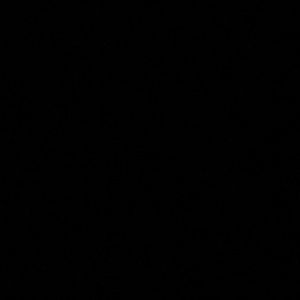 Meet your Posher, Bella